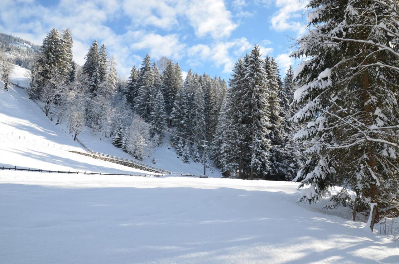 Haus Am Sunnfeld Daire Alpbach Dış mekan fotoğraf