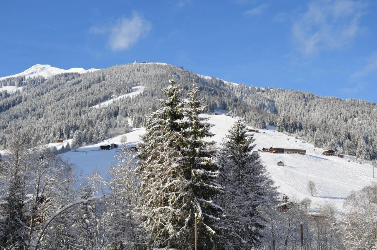 Haus Am Sunnfeld Daire Alpbach Dış mekan fotoğraf