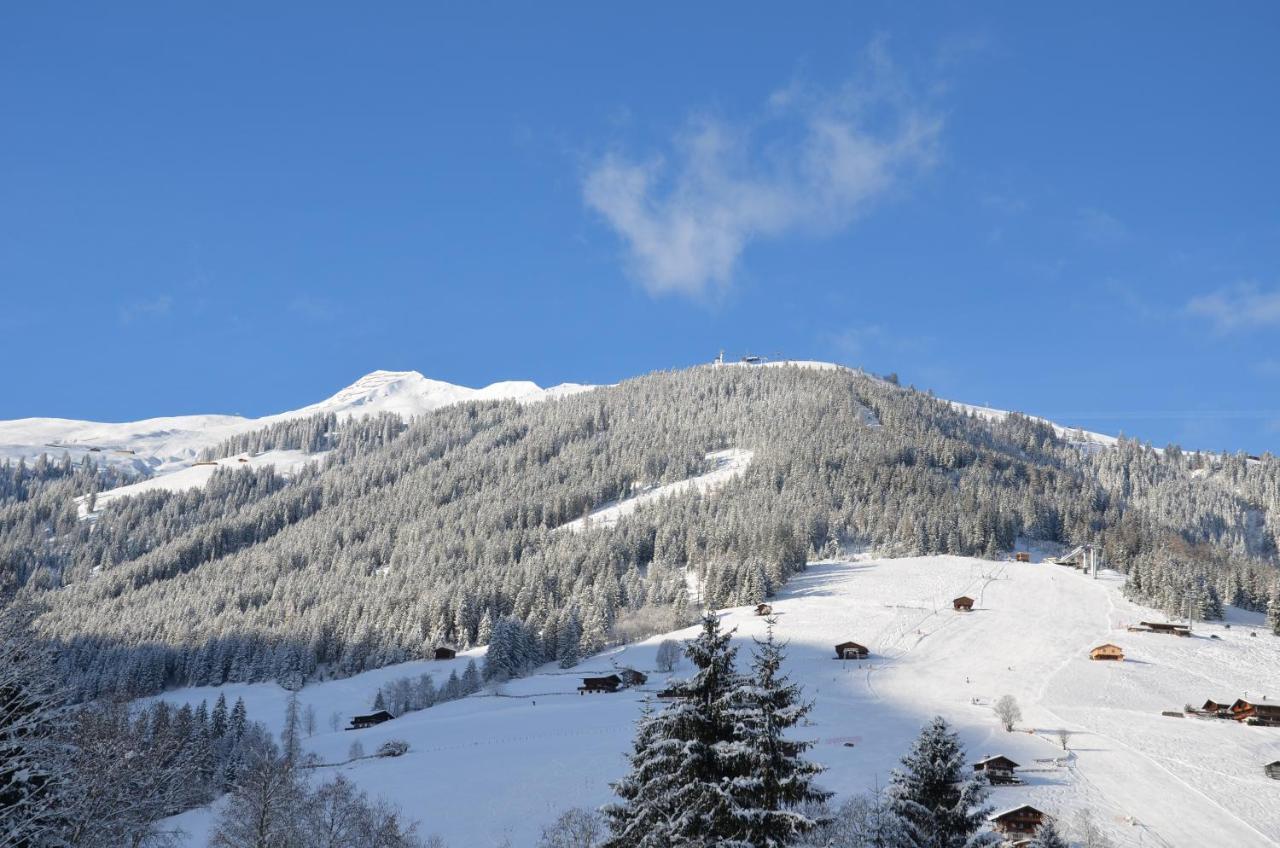 Haus Am Sunnfeld Daire Alpbach Dış mekan fotoğraf