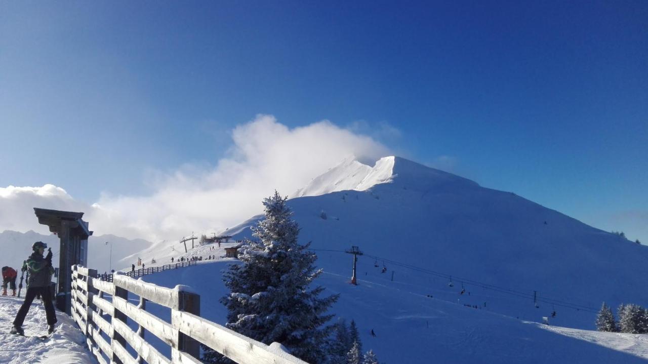 Haus Am Sunnfeld Daire Alpbach Dış mekan fotoğraf
